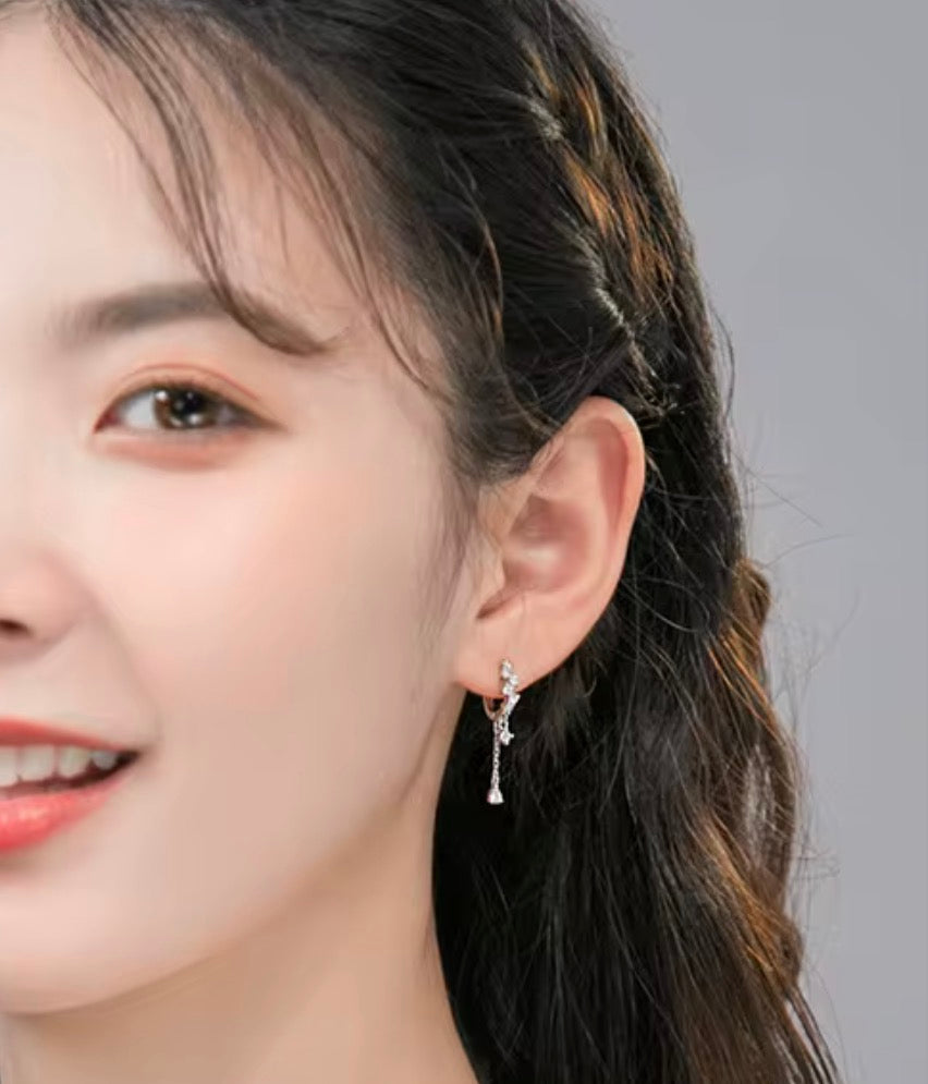925 Sterling Silver Earrings
