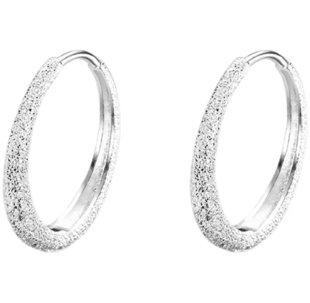 925 Sterling Silver Earrings