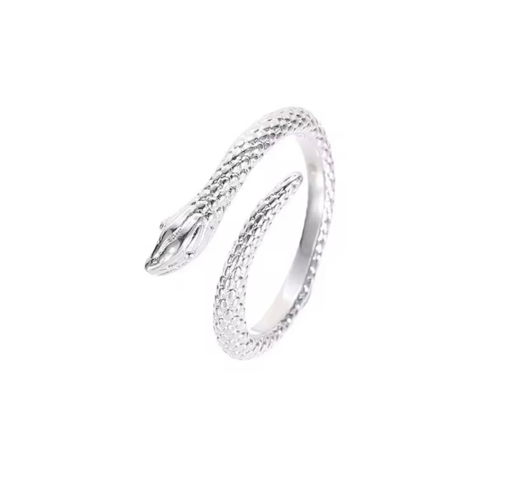 925 Sterling Silver Ring